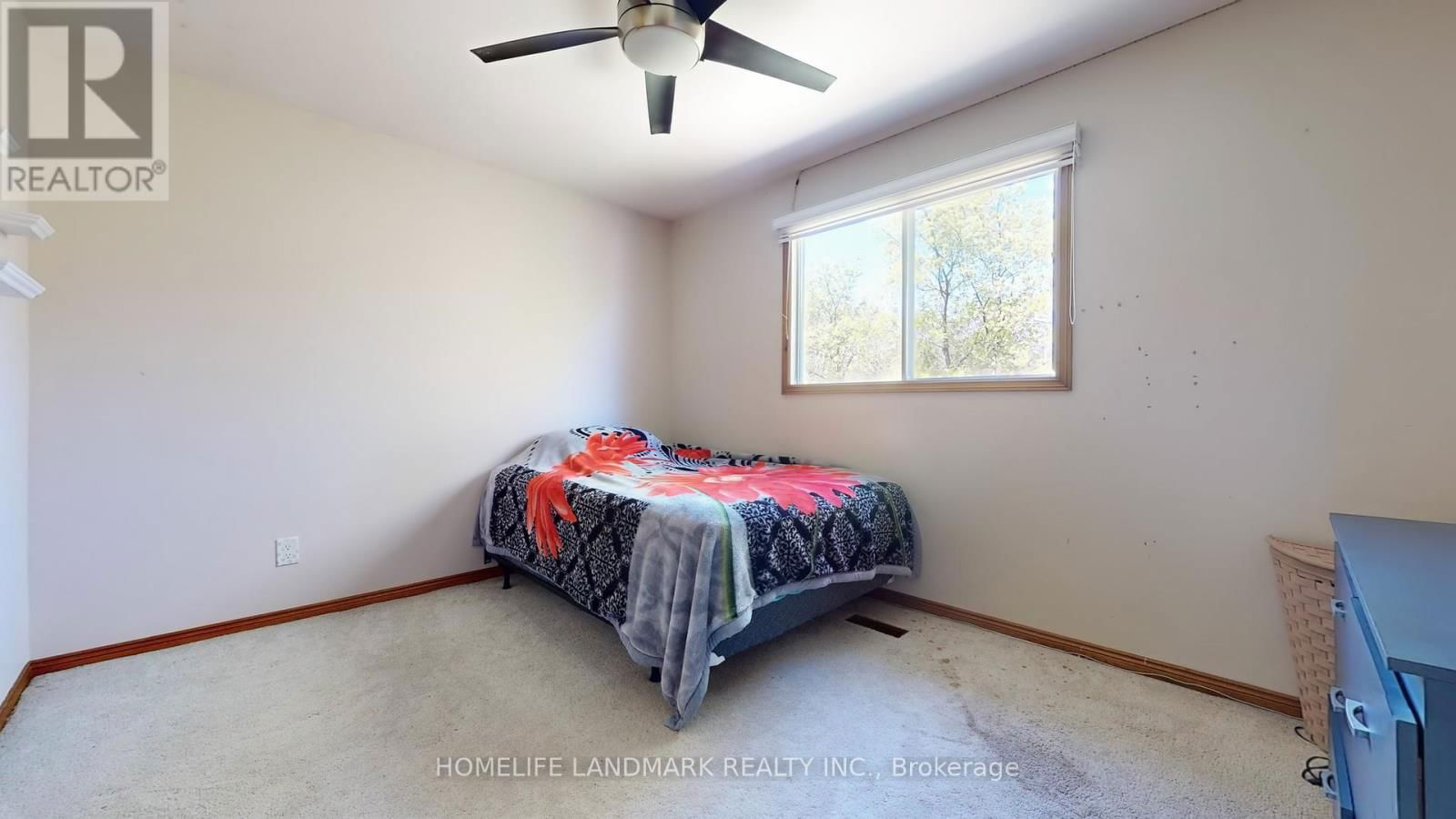 289 RICHMOND STREET Image 25