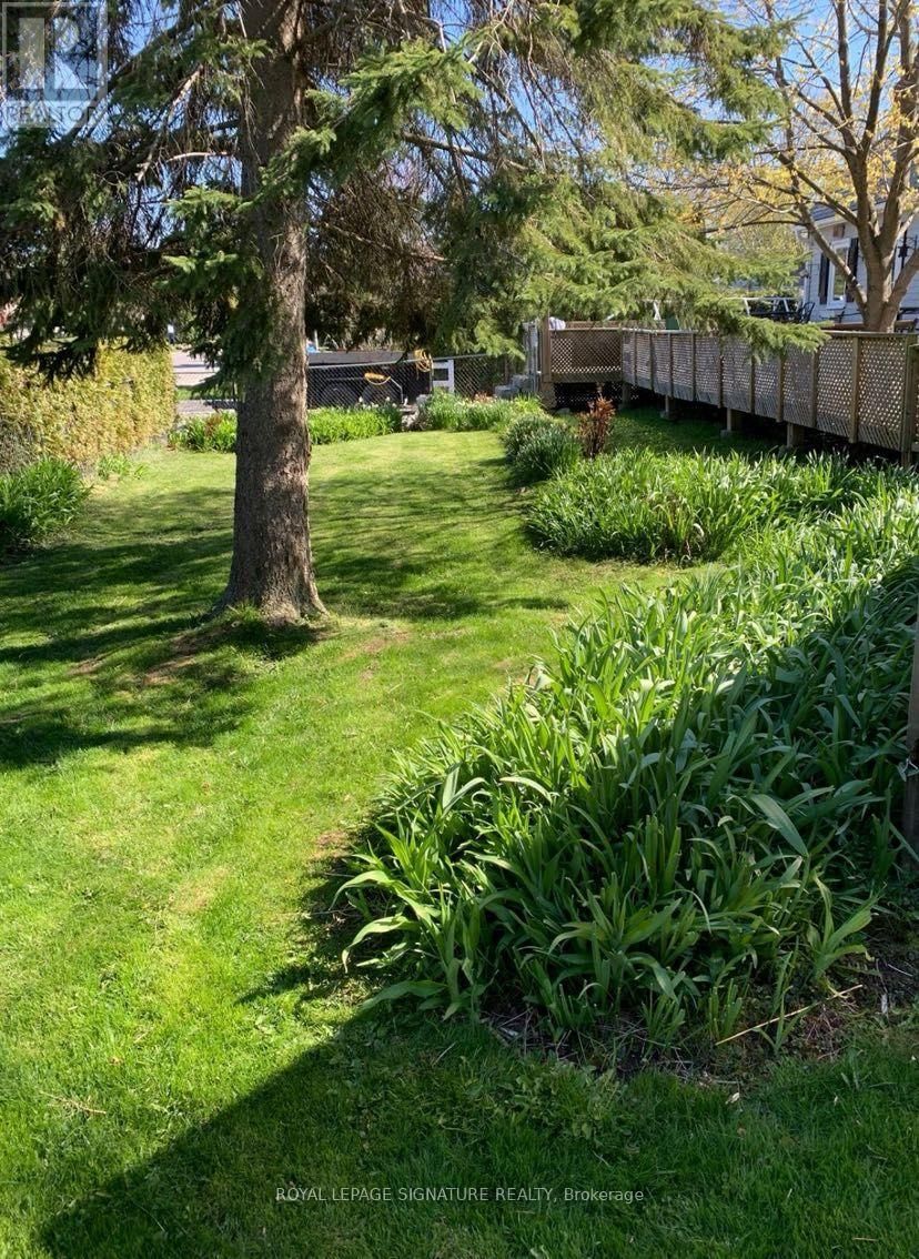 56 LORNE STREET Image 13