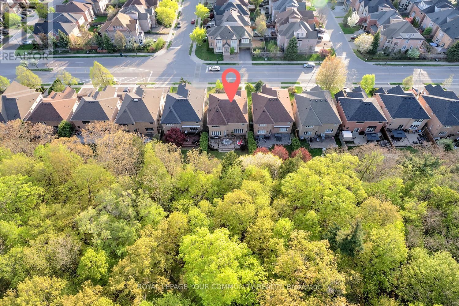 119 THORNHILL WOODS DRIVE Image 50