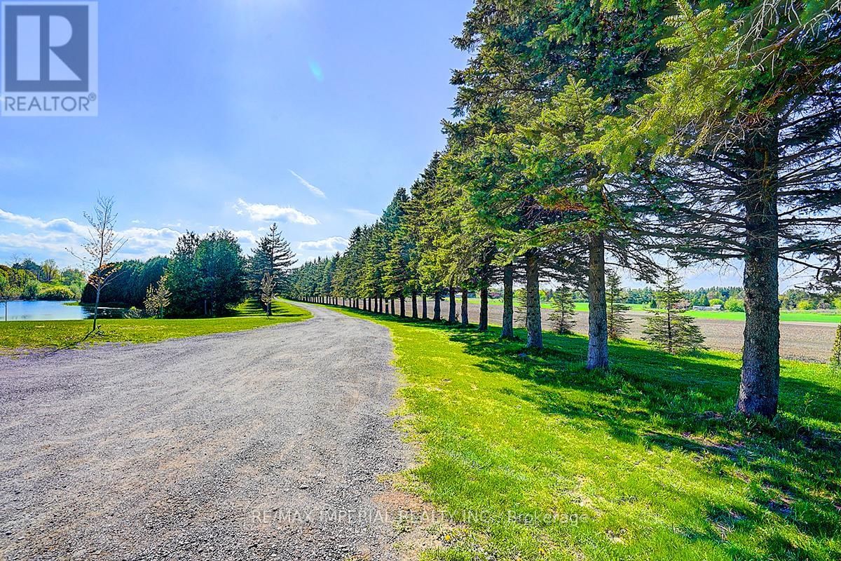 13969 KENNEDY ROAD Image 10