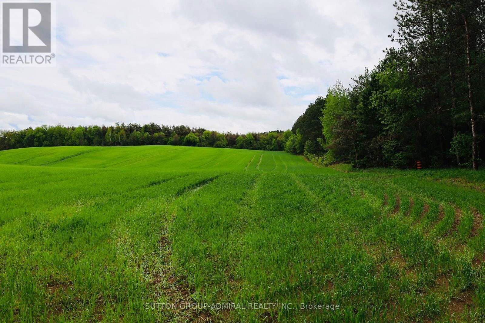 8 - 337 DURHAM REGIONAL ROAD Image 11