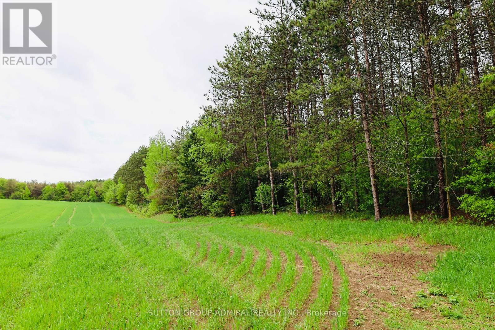 8 - 337 DURHAM REGIONAL ROAD Image 12