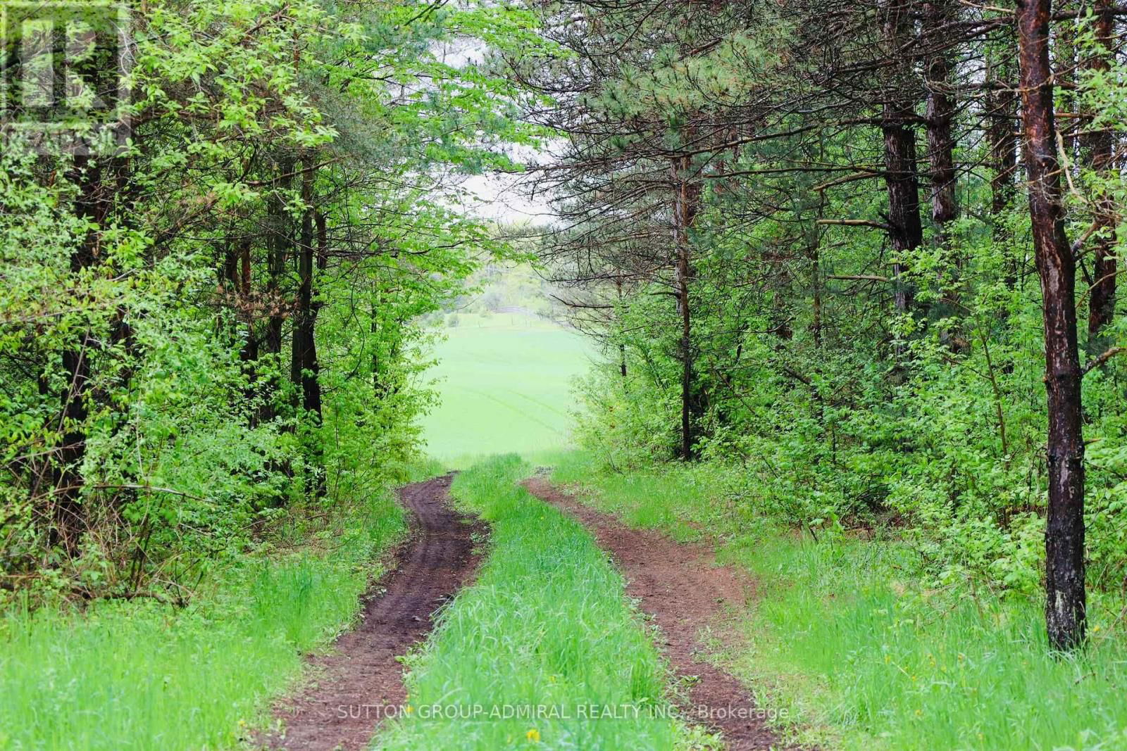 8 - 337 DURHAM REGIONAL ROAD Image 13
