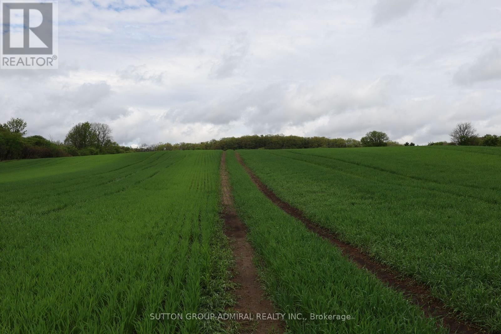8 - 337 DURHAM REGIONAL ROAD Image 14