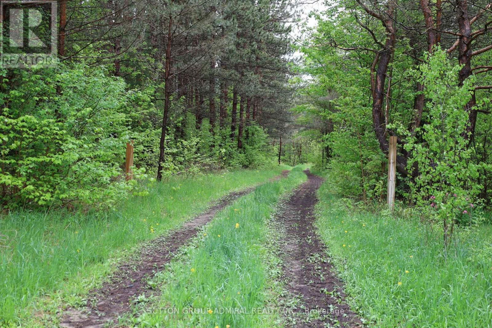 8 - 337 DURHAM REGIONAL ROAD Image 15