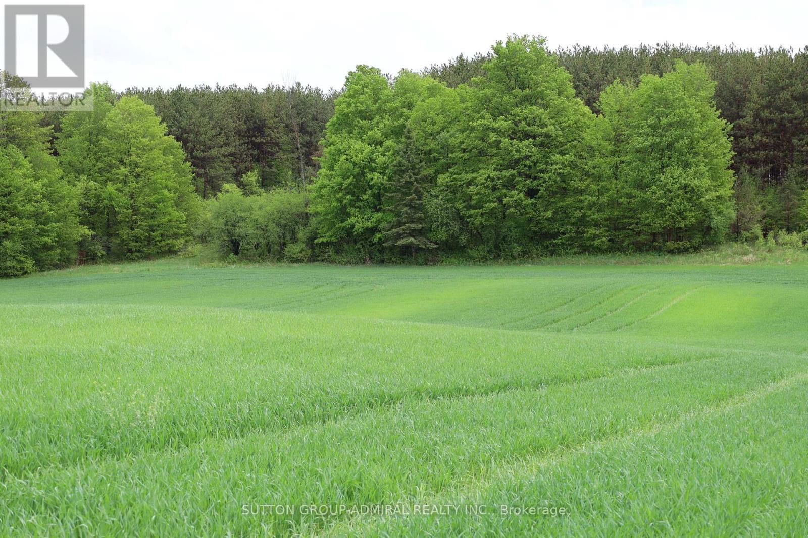8 - 337 DURHAM REGIONAL ROAD Image 19