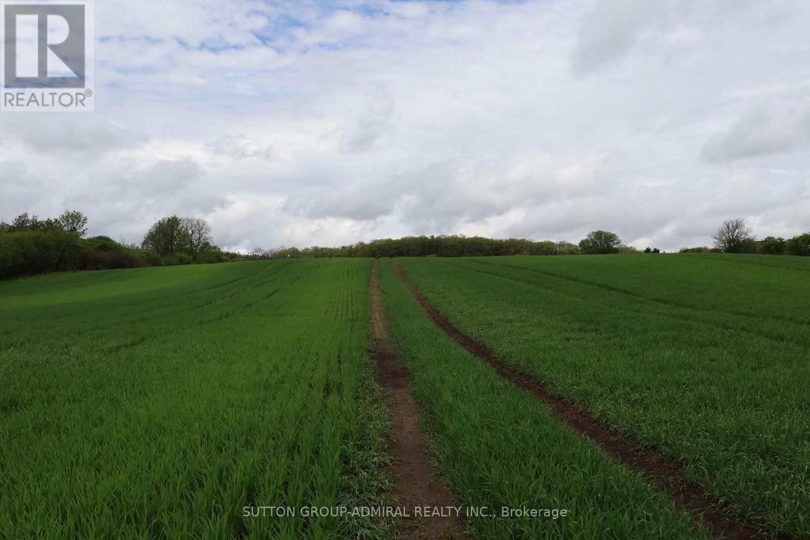 8 - 337 DURHAM REGIONAL ROAD Image 21