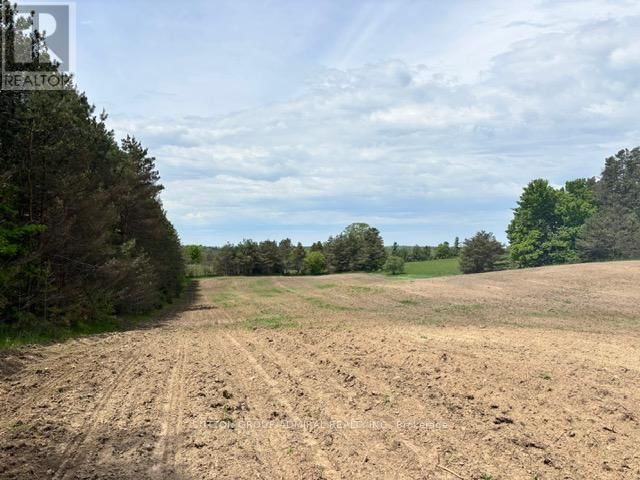 8 - 337 DURHAM REGIONAL ROAD Image 32