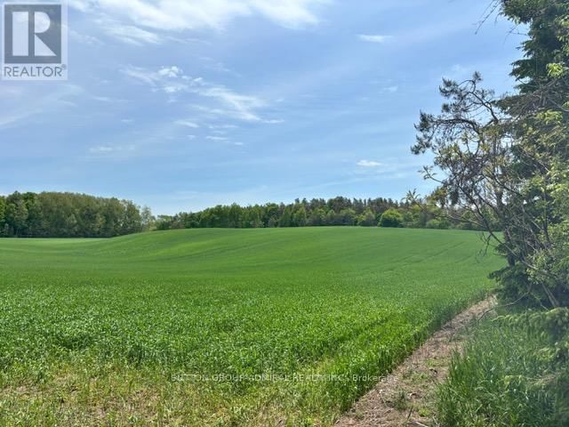 8 - 337 DURHAM REGIONAL ROAD Image 33