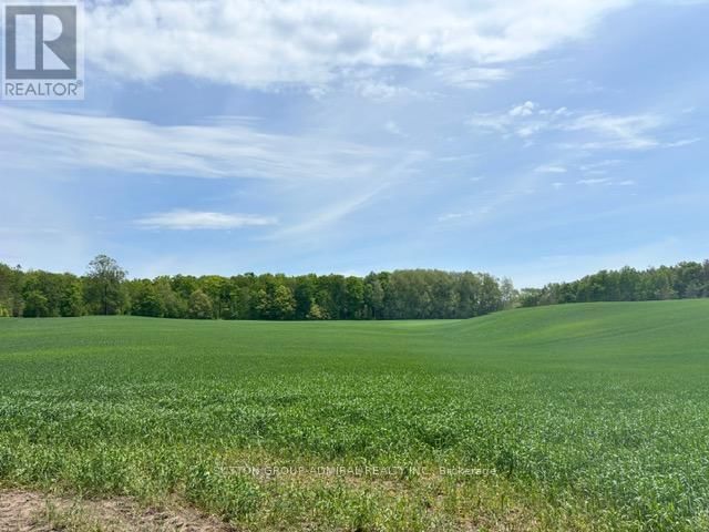 8 - 337 DURHAM REGIONAL ROAD Image 34