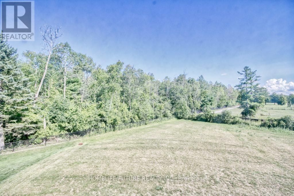 99 SCOTIA ROAD Image 23