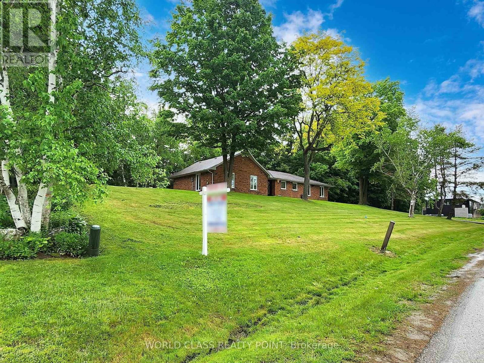 Primary Property View