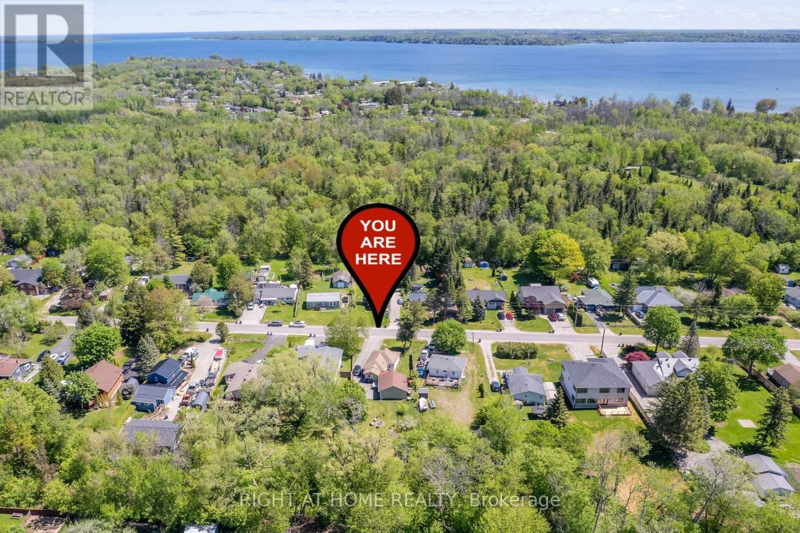 Primary Property View