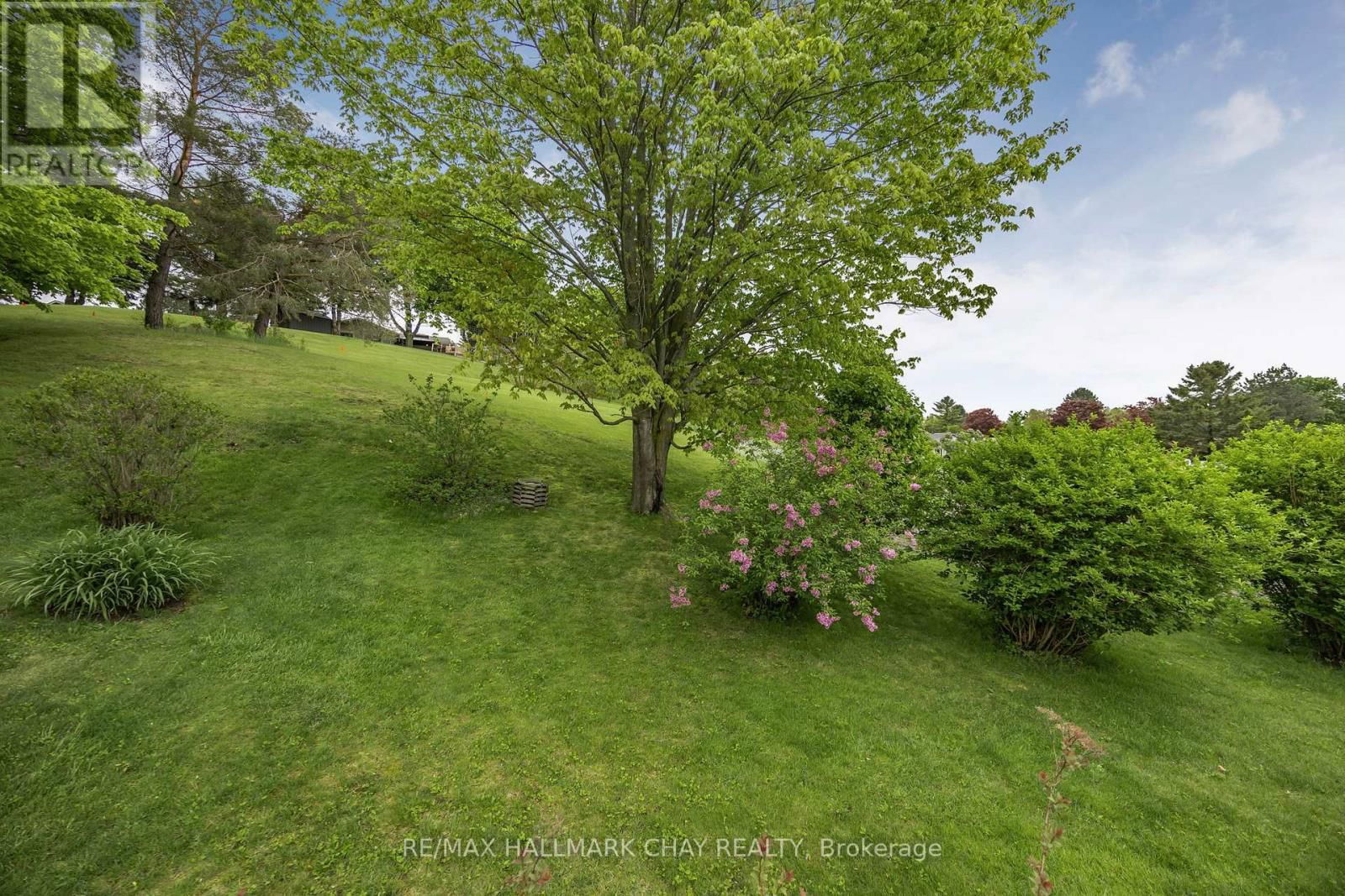 3 PINETREE COURT Image 39