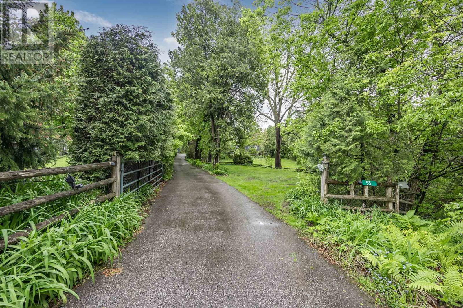 Primary Property View