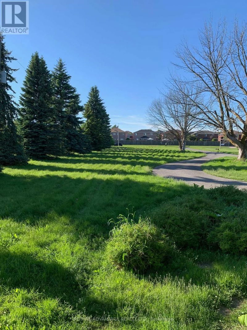 Tertiary Property View