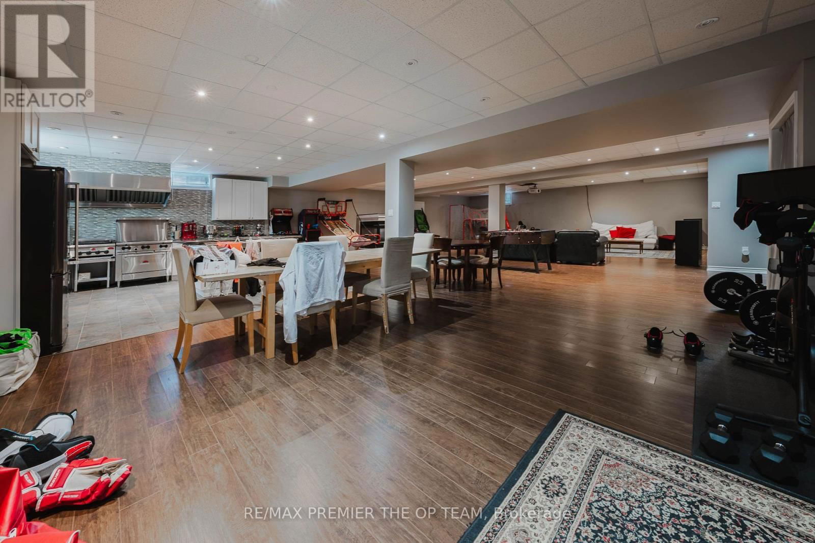 Lower - 56 PARK RIDGE DRIVE Image 3
