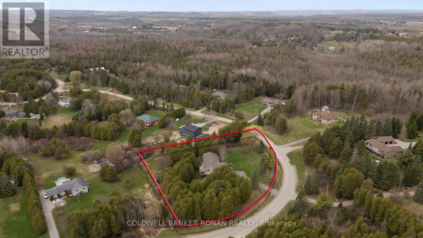 Primary Property View