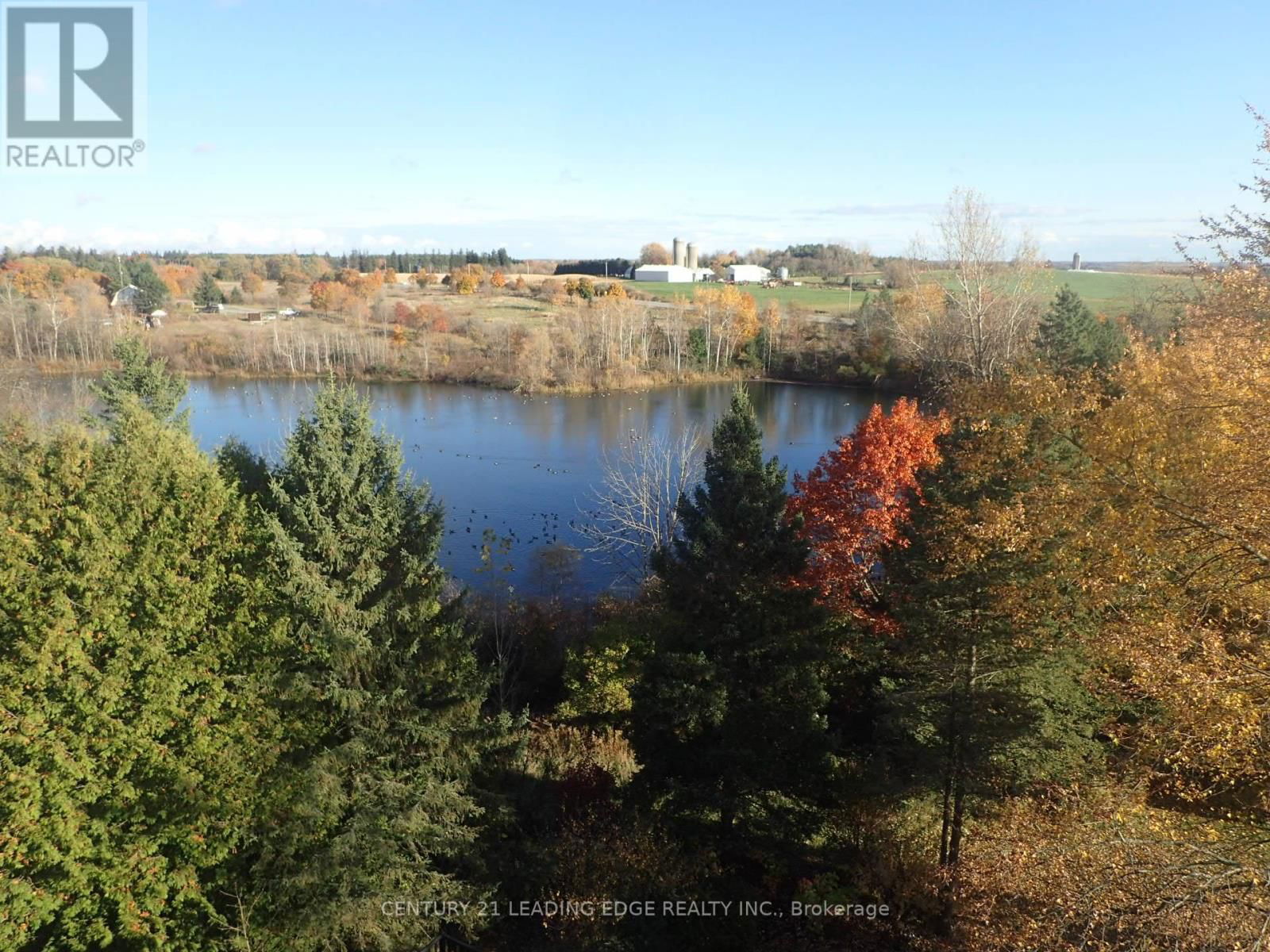 Primary Property View