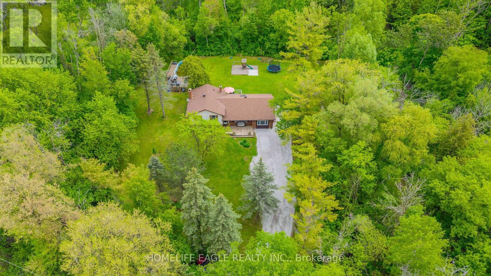 Primary Property View