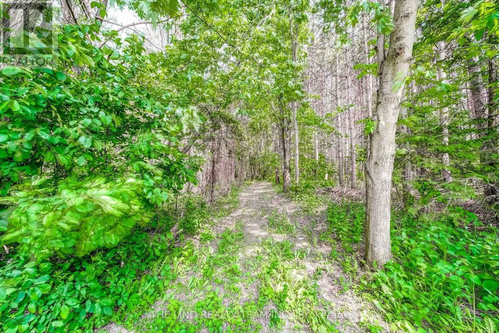 5205 10TH SIDEROAD Image 31