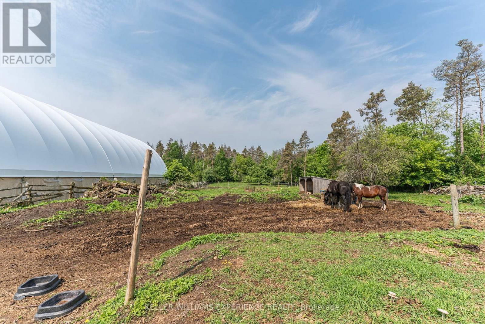 7106 COUNTY ROAD 56 Image 25