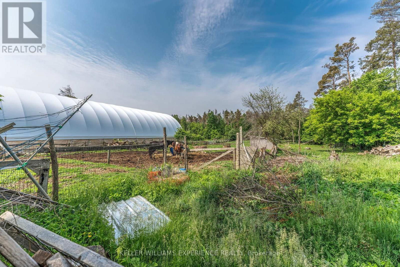 7106 COUNTY ROAD 56 Image 27