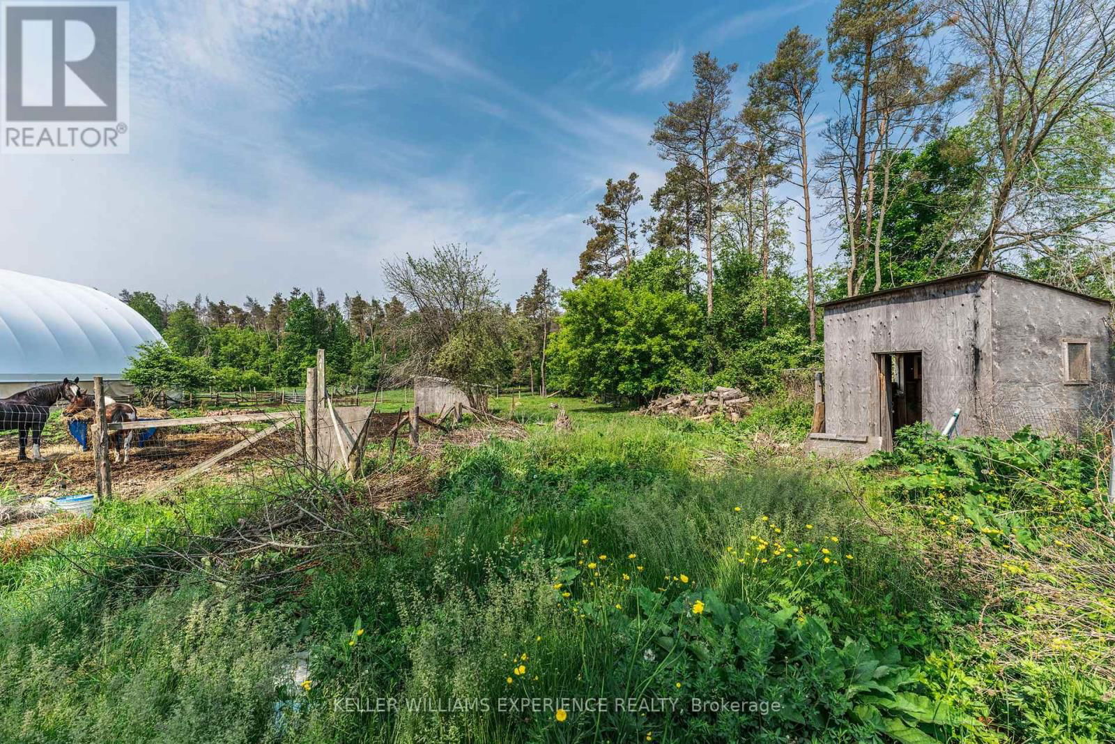 7106 COUNTY ROAD 56 Image 36