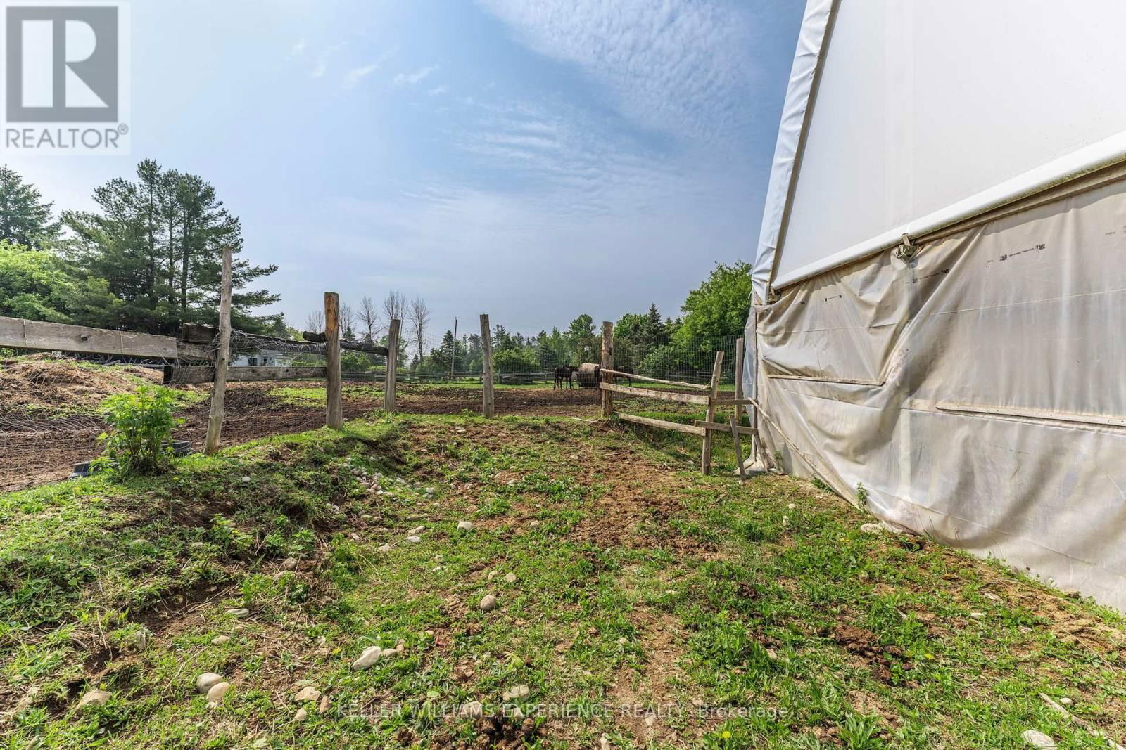 7106 COUNTY ROAD 56 Image 42
