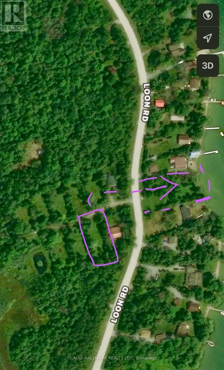 566 CEDAR SMOKE ROAD Image 3