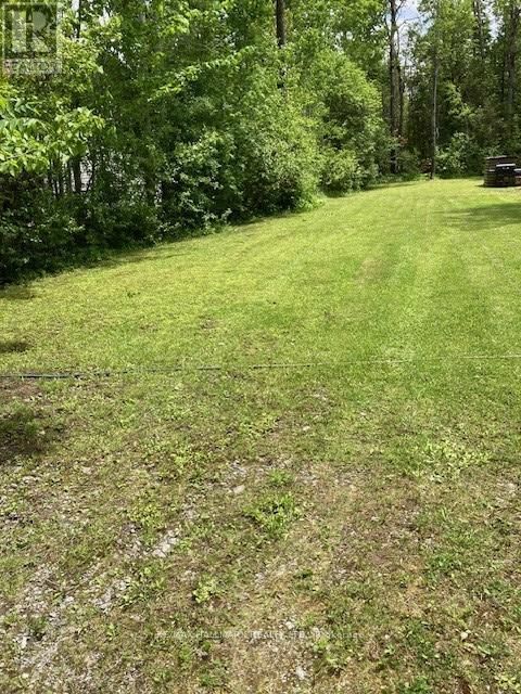 566 CEDAR SMOKE ROAD Image 4
