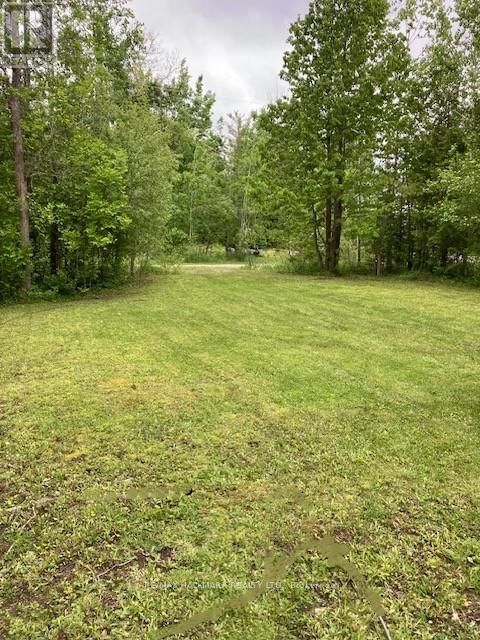 566 CEDAR SMOKE ROAD Image 7