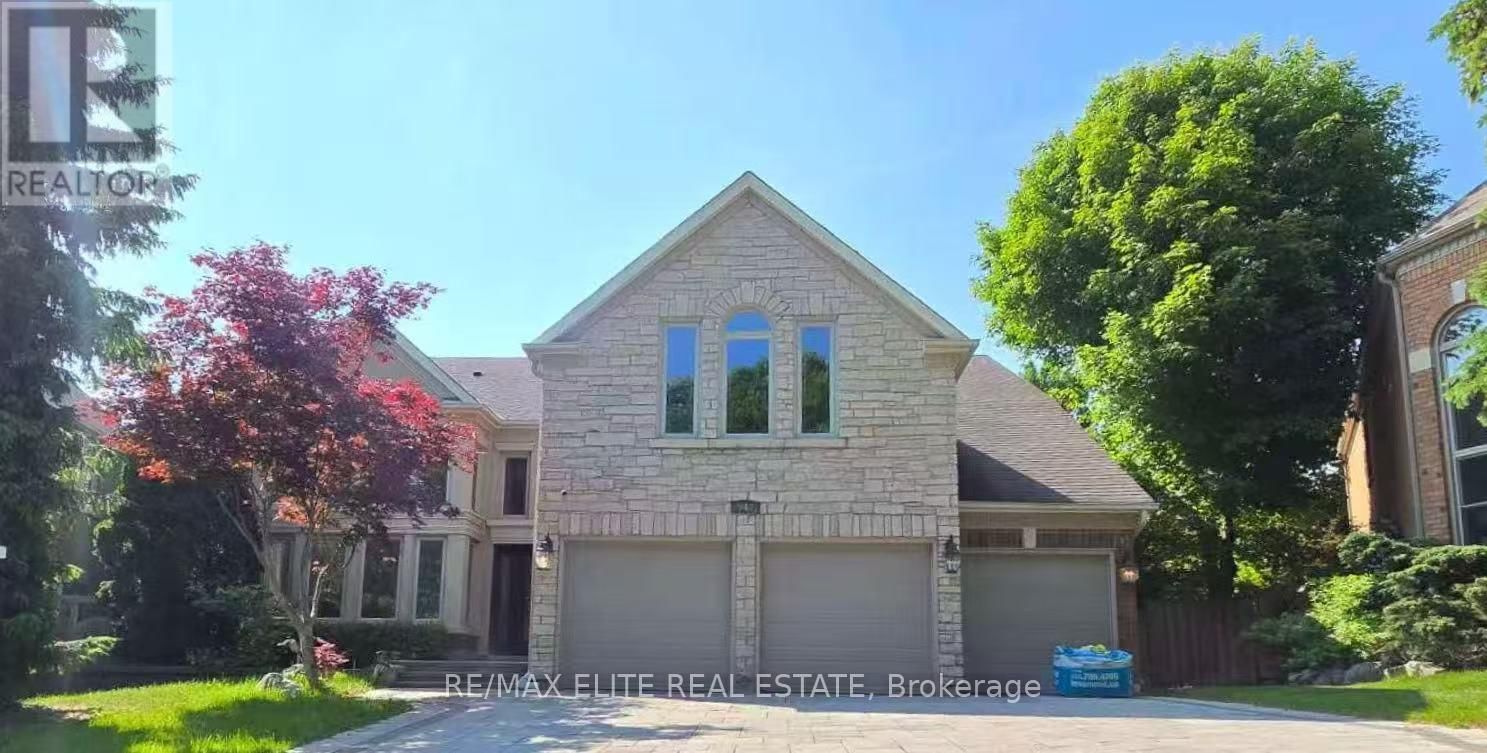 Primary Property View