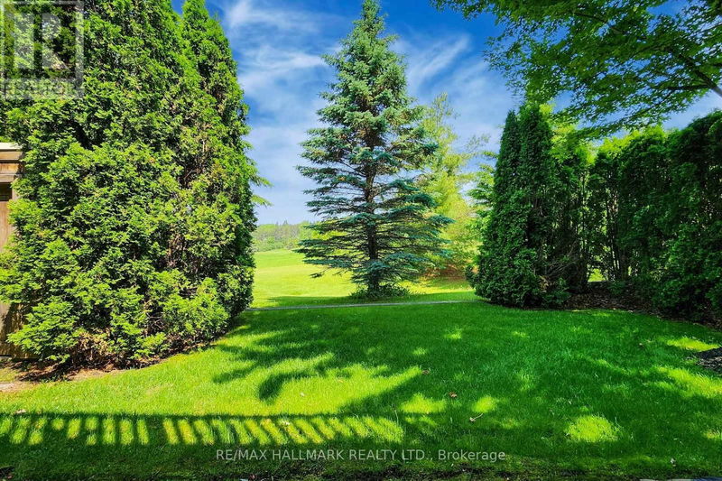 Tertiary Property View