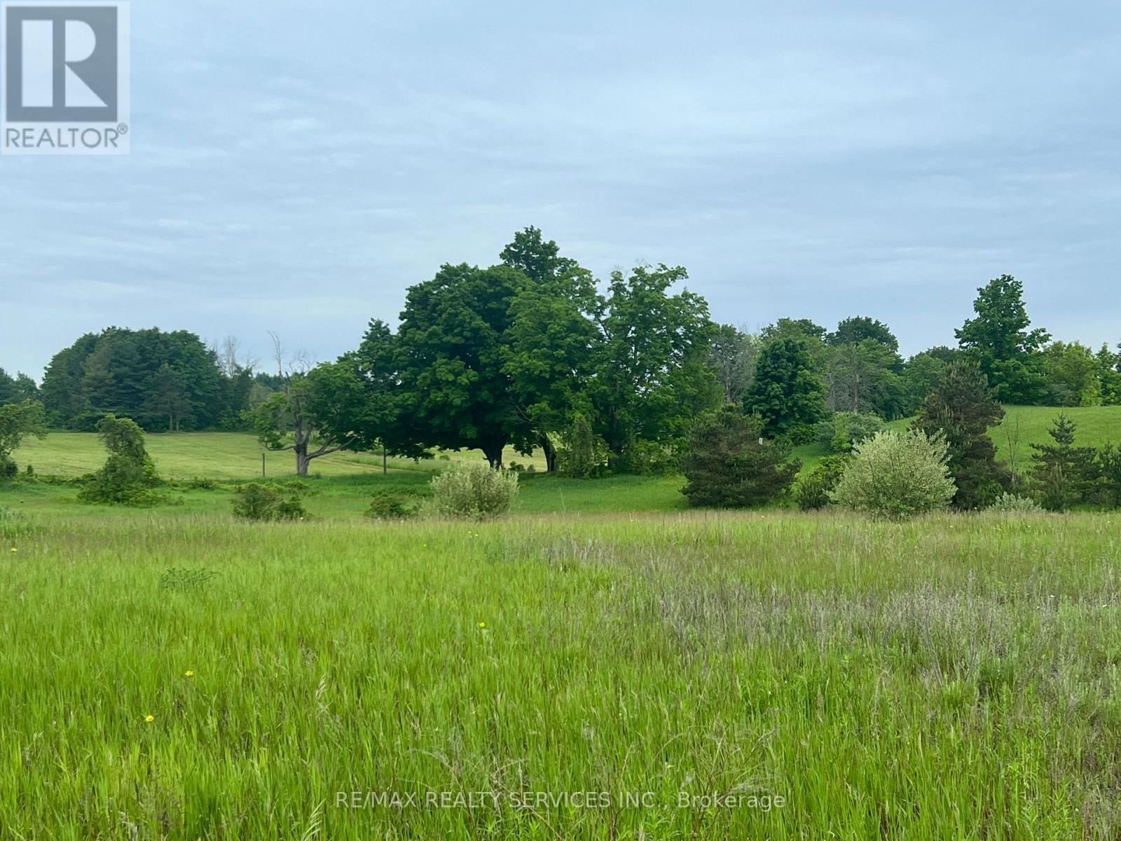 10054 HIGHWAY 9 Image 6