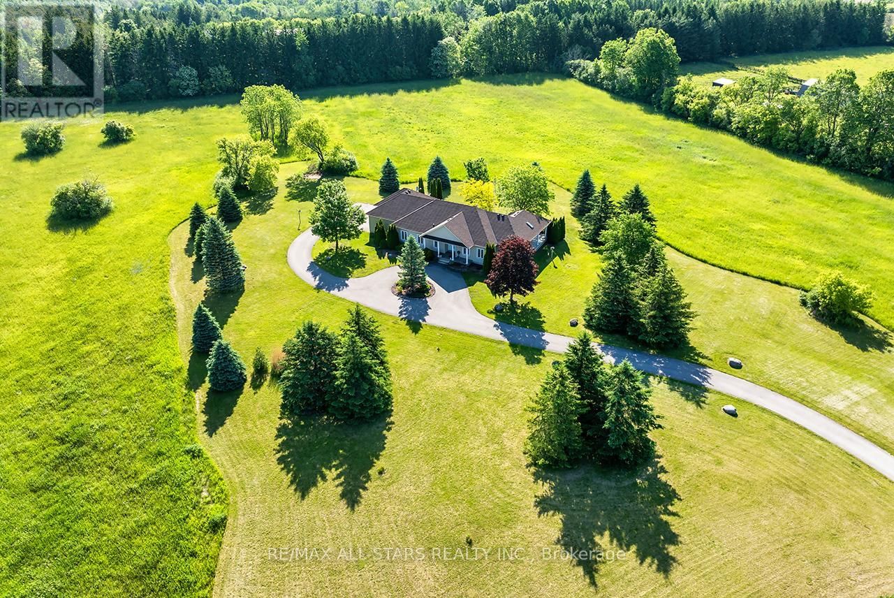 Primary Property View