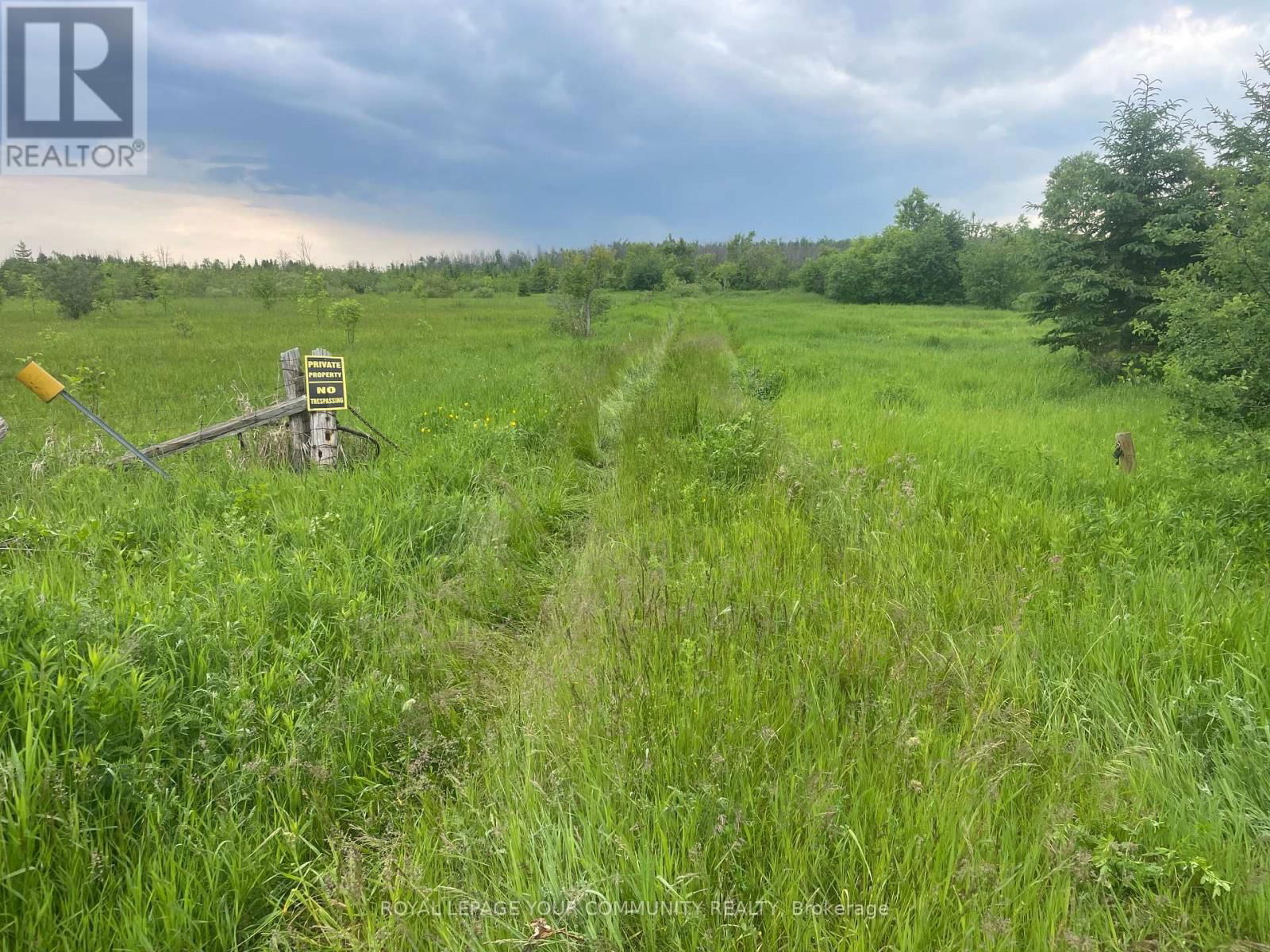 PT16 CONCESSION 17 SIDEROAD Image 3