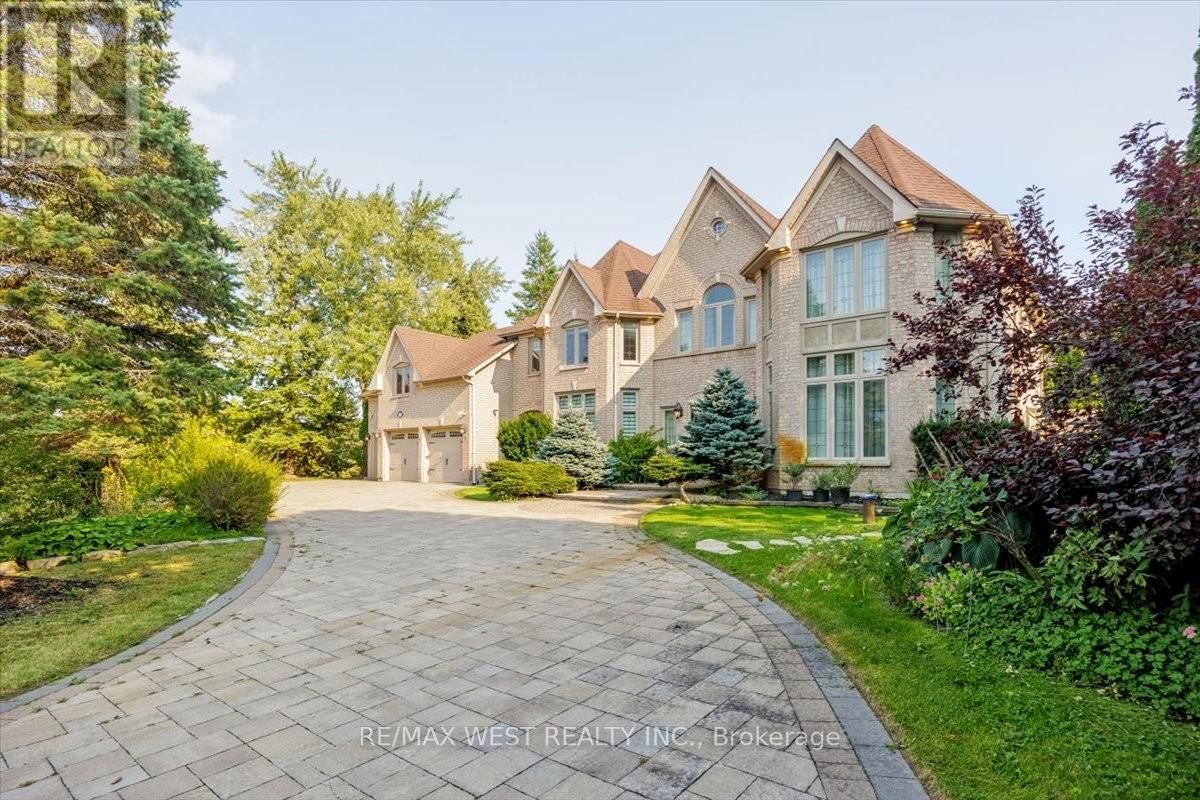 Primary Property View