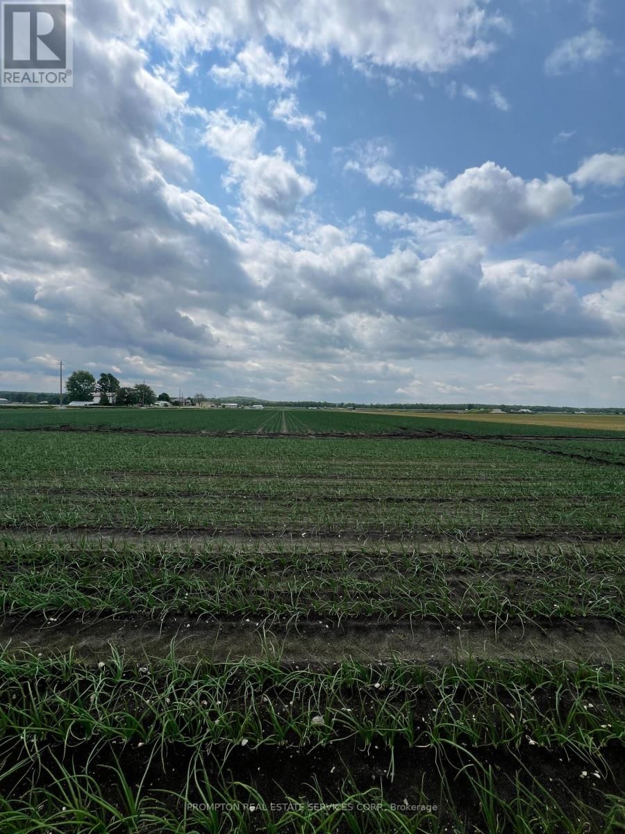 1160 RIVER ROAD Image 6