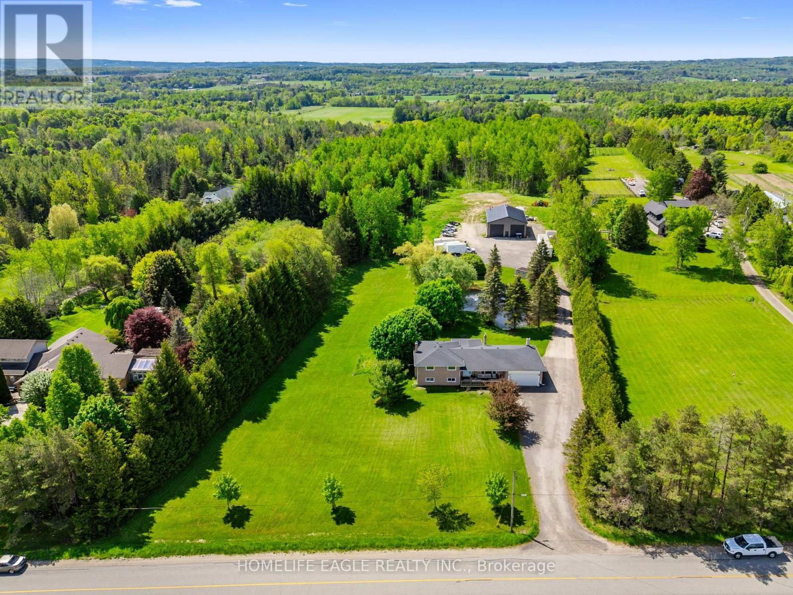 Primary Property View