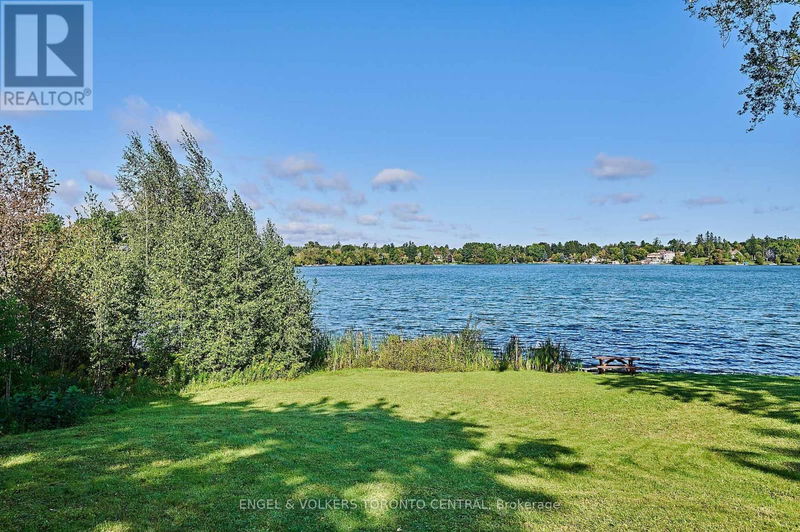 Tertiary Property View