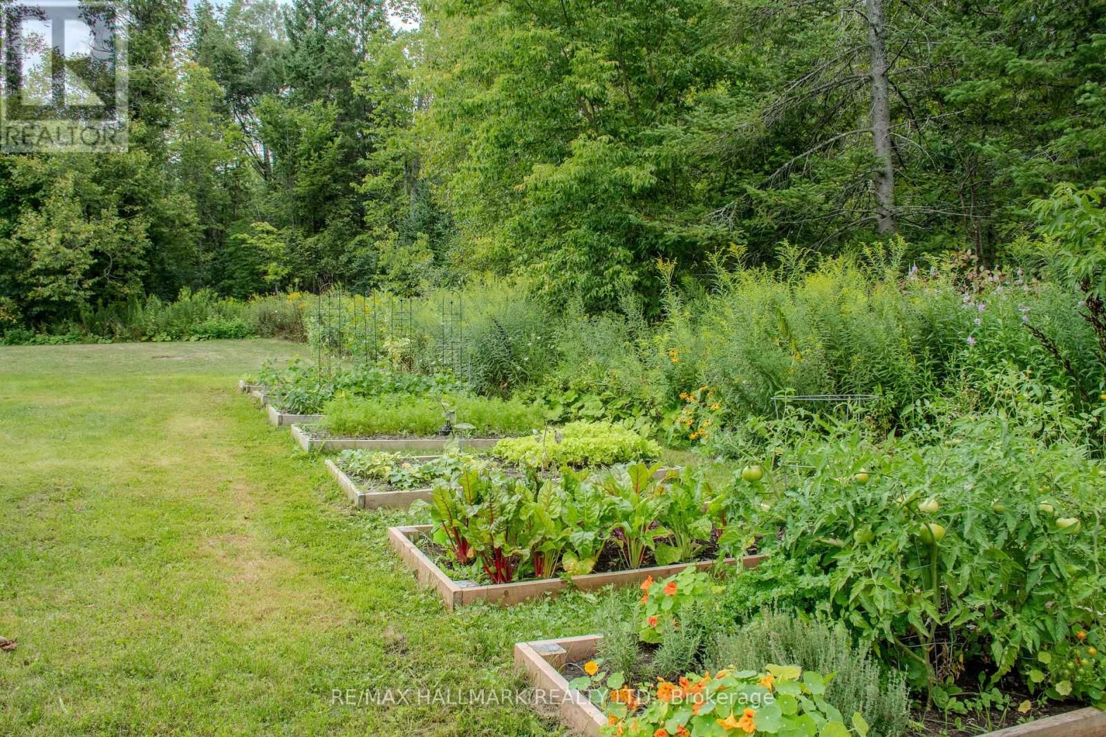 175 CONCESSION 2 ROAD Image 43