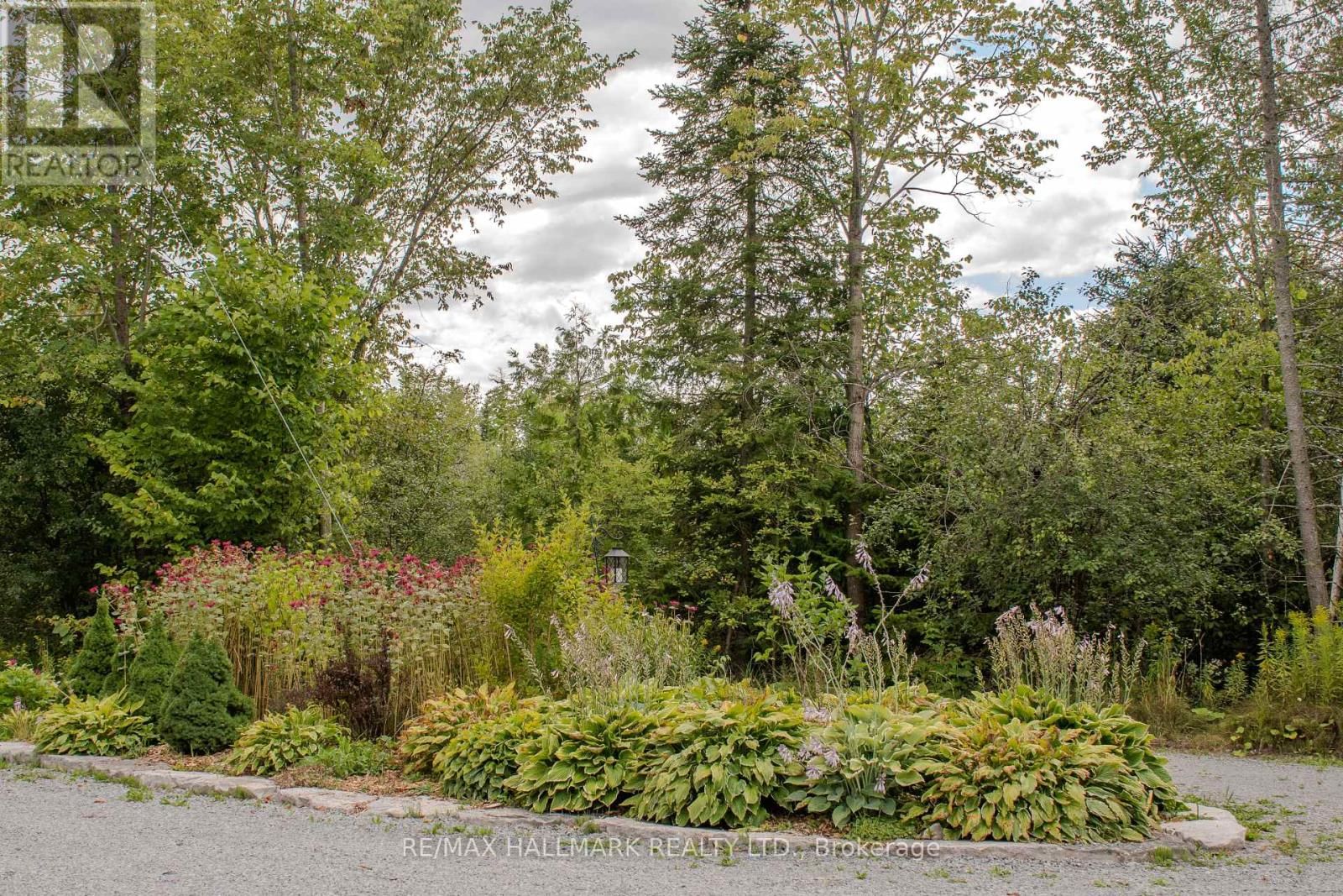 175 CONCESSION 2 ROAD Image 44