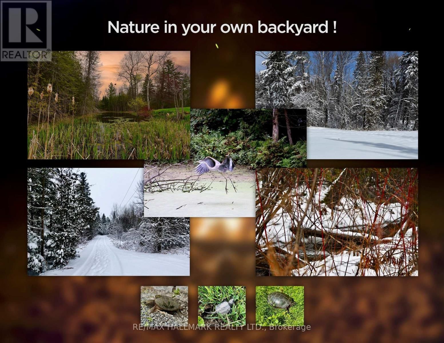 175 CONCESSION 2 ROAD Image 47