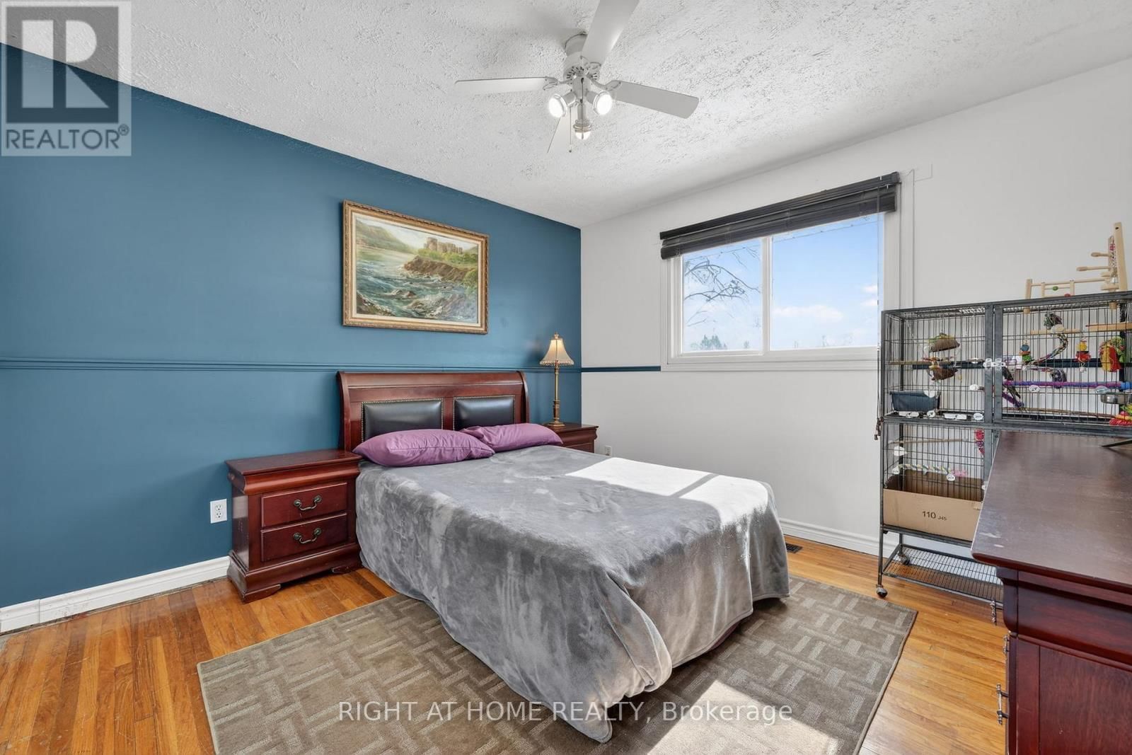 246 CALFORD STREET Image 21