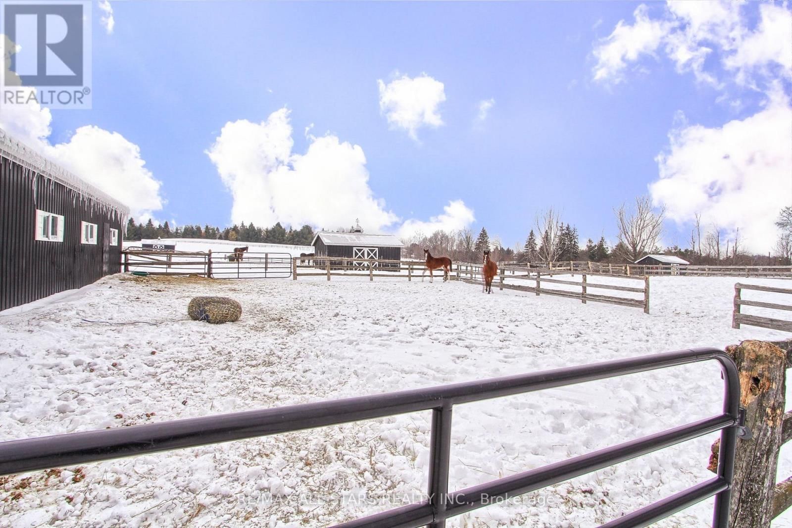 4901 VANDORF ROAD WEST Image 33