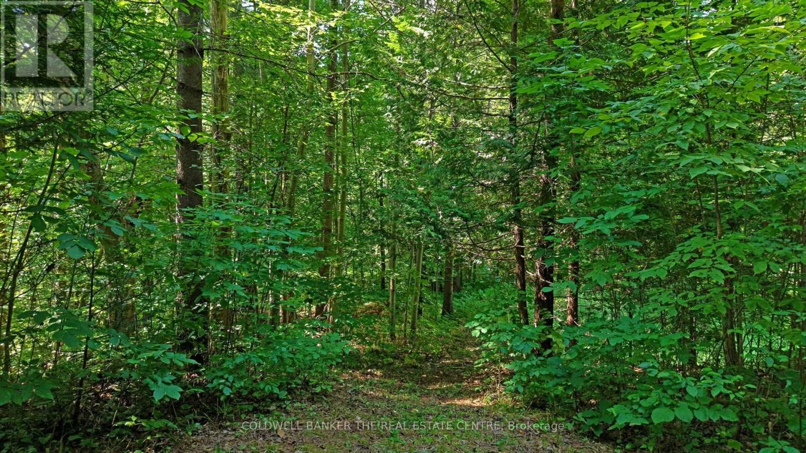 15600 WESTON ROAD Image 13