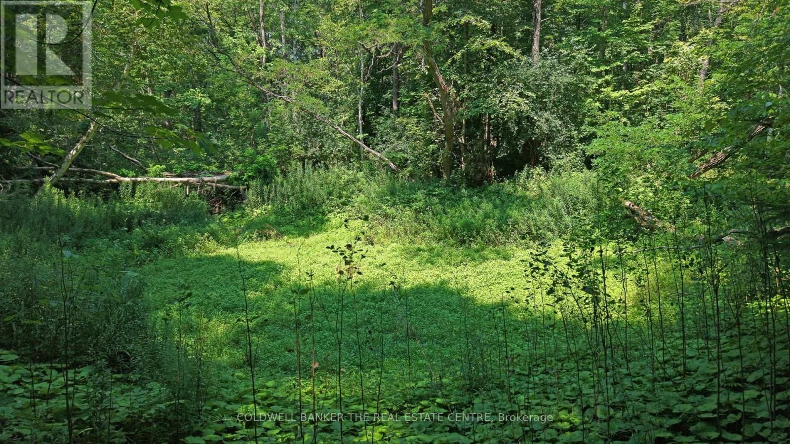 15600 WESTON ROAD Image 14