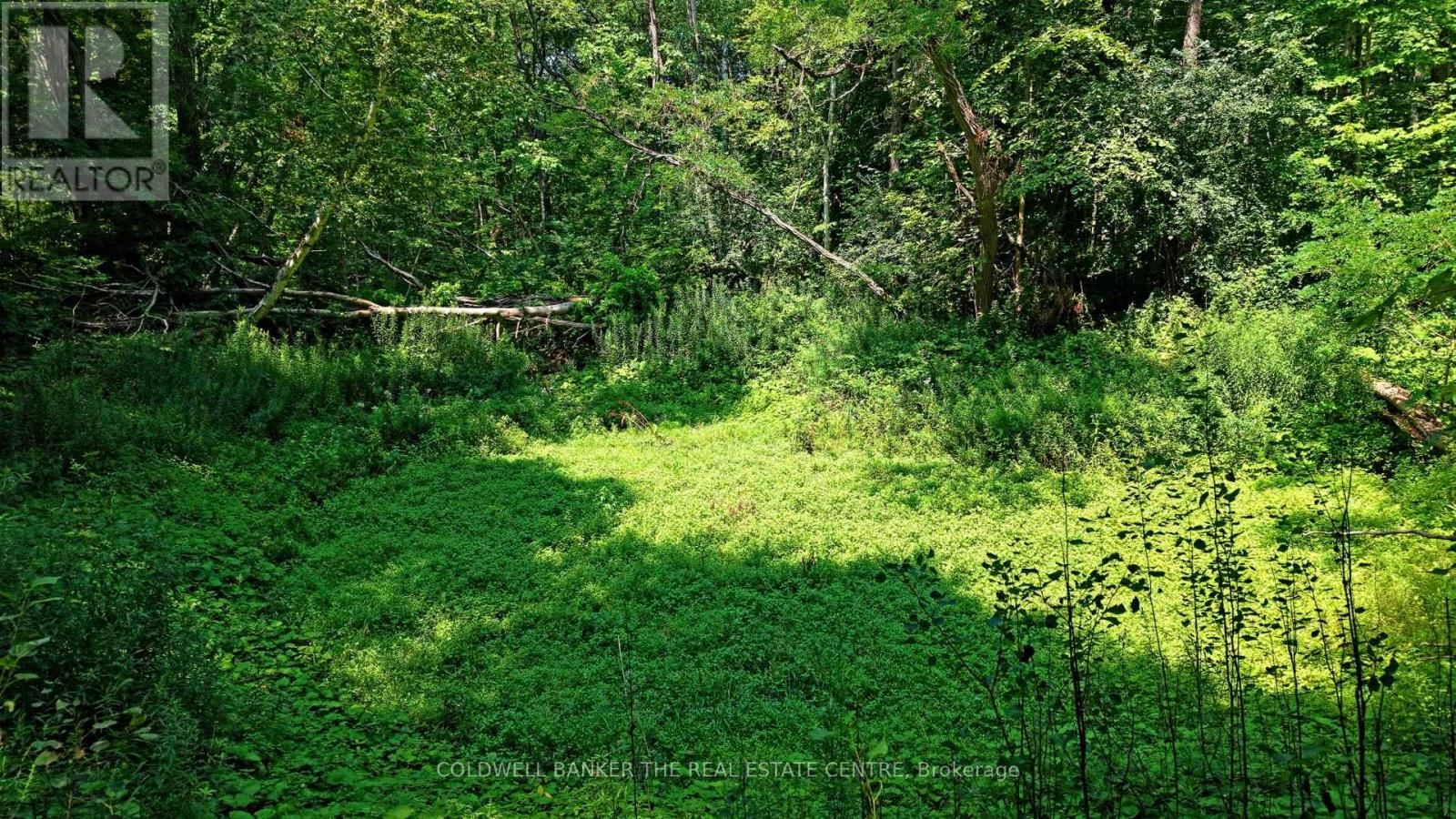 15600 WESTON ROAD Image 15