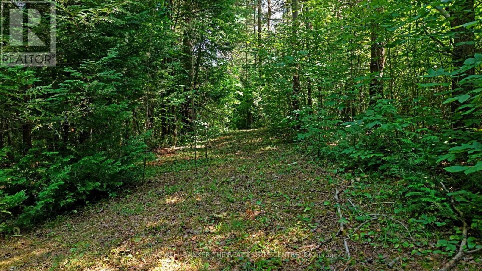 15600 WESTON ROAD Image 16